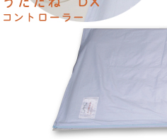 �������ˁ@DX�@�{��